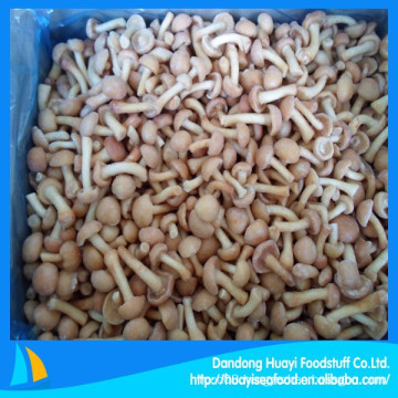 European standard frozen nameko mushroom from China